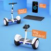 IE-K8 Electric Scooter 10 Inches Tire 700W Battery 36V 4AH Electric Self-Balancing scooter 80KG Load - White